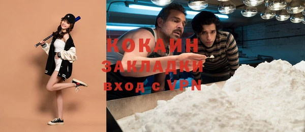 прущие грибы Володарск