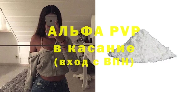 прущие грибы Володарск